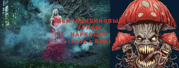 гашиш Абаза
