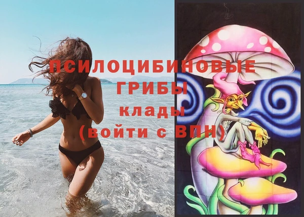 бутират Переславль-Залесский